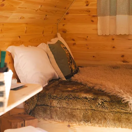 Froggyroom